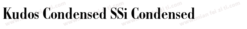 Kudos Condensed SSi Condensed Ital字体转换